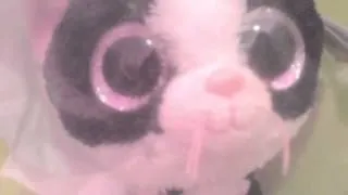 Beanie Boo MV | A Thousand Years