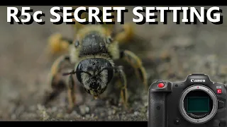 Canon R5c Secret Setting! This Changes Everything