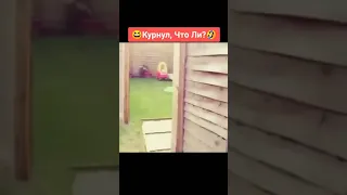 Человек-Дельфин😂🔥🔥🔥