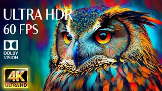 Animal World 4K HDR 60fps Dolby Vision - Travel around the world with 8K Animals & Relaxing Music