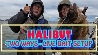 EASY Halibut Fishing with Live Bait - Setups & How to Find Them! (San Francisco Bay)