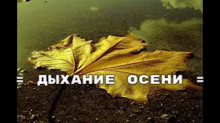 Кирилл Потылицын - Дыхание осени ( Очень красивая музыка )