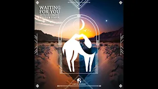 Akhlad Ahmed, Kayza & Samar, Cafe De Anatolia - Waiting for You (Original Mix)