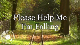 Please Help Me I'm Falling w/ Lyrics - The Everly Brothers Version