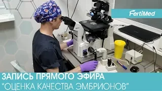 Запись прямого эфира "Оценка качества эмбрионов"