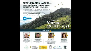 Regeneración natural: ¿una opción para cumplir metas de restauración en Colombia?