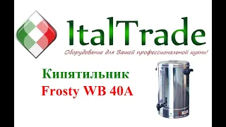 Кипятильник Frosty WB 40A