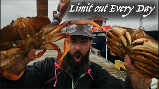 Massive Dungeness Crab | Full Limit | Eating Like A King | Destination Adventure