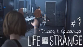 Академия Блэквэл | #1 | Life is Strange - Эпизод 1: Хризалида |(РУССКАЯ ОЗВУЧКА)