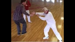 Tai Chi Fundamentals: Yang Style Push Hands Peng and Lü