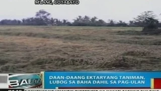 Daan-daang ektaryang taniman sa M'lang, Cotabato, lubog sa baha dahil sa pag-ulan