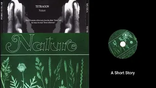 Tetragon — Nature 1971 (Germany, Krautrock/Jazz Rock/Fusion)