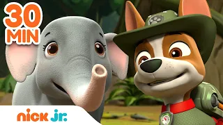 Paw Patrol & Cat Pack Make Super Animal Rescues! w/ Tracker | 30 Minute Compilation | Nick Jr.