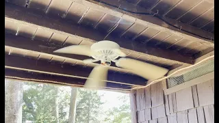 Ceiling Fan Destruction #18