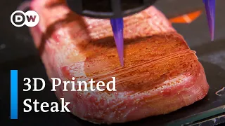 3D Printed Vegan Steak That Tastes Like Real Meat