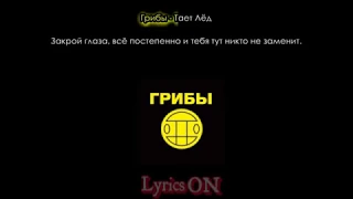 Грибы - Тает Лёд Текст песни / lyrics Karaoke effect