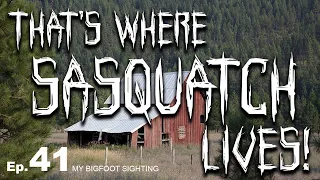 My Bigfoot Sighting Episode 41 - That's Where Sasquatch Lives!