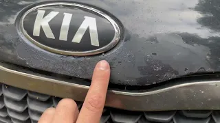 Kia Rio с пробегом 500.000км - отзыв