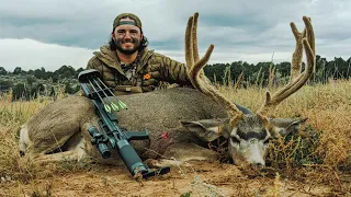 Mule Deer Hunting Utah (Catch And Cook) With An ARROW GUN