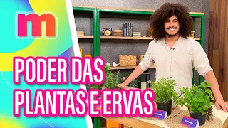 Rituais, banhos e plantas para PROSPERIDADE - Mulheres (01/05/2024)