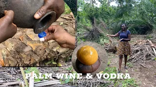 HOW LOCAL VODKA & PALMWINE IS MADE IN AFRICA | TOGO 🇹🇬| Living IN AFRICA|PLACES TO VISIT IN TOGO