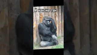 "И снова седая ночь.. И как же так облажалась я..."