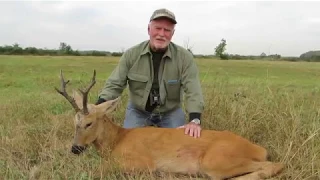 SIBERIAN ROE DEER HUNTING WITH PROFI HUNT IN RUSSIA 2017