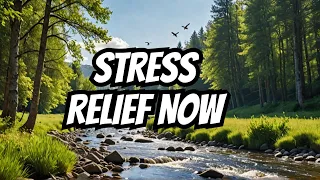 "Mindfulness Meditations: Calming Nature Sounds for Stress Relief".