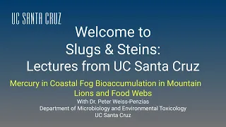Mercury in Coastal Fog—Evidence for Bioaccumulation in Mountain LionsProfessor Peter Weiss-Penzias