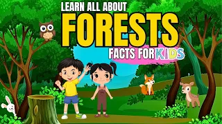 Learn All About Forest (Facts For Kids)