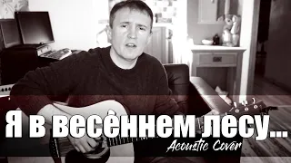 "Я в весеннем лесу" песня из кинофильма "Ошибка резидента"