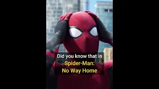 Did You Know That In Spider-Man: No Way Home