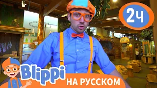 Блиппи посещает научный музей | Обучающие видео для детей | Blippi Russian