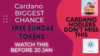 Sundaeswap Launch DETAILS | How To Earn SUNDAE Tokens | Cardano holders FREE tokens