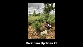 Barichara Updates #5 :: Launching the Pledge Community