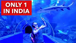 India's Only Underground Aquarium & SHARKS | Travelling Paaji