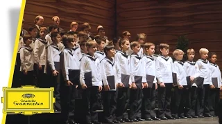 Vienna Boys Choir - Merry Christmas From Vienna - Rolando Villazón (Trailer)