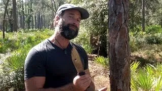 Survival 101: Making Food from Pine Trees