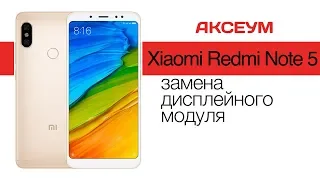 Xiaomi Redmi Note 5: замена дисплея  Replacement LCD