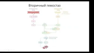 «Общие аспекты антиагрегантной и антикоагулянтной терапии (Ковид-19)»