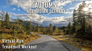 Virtual Run | 30 Minute Treadmill Workout | Norwegian Autumn Scenery | GoPro 11