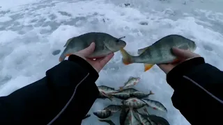 ОКУНЬ на безмотылку в оттепель на Дону!) 2021.