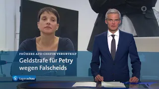 Frühere AfD-Chefin verurteilt: Geldstrafe für Petry wegen Falscheides