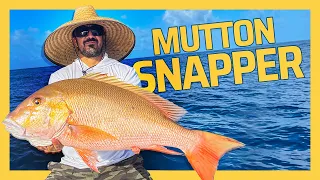 Epic Bottom Fishing Trip on New Boat! {Featuring the FishMan}