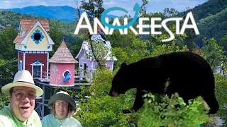 What's Going On At Anakeesta / Bears - Mom & Cubs / Lunch at Cliff Top Restaurant / Gatlinburg
