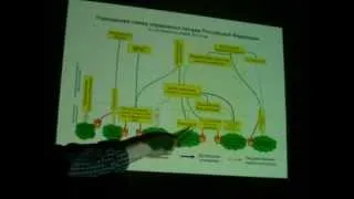 Леса и лесное хозяйство России. Семинар. Часть 2