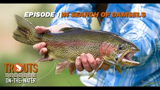 YOU WON'T BELIEVE THESE DRY FLY EATS ~ Trouts On The Water // Episode 1: In Search of Damsels