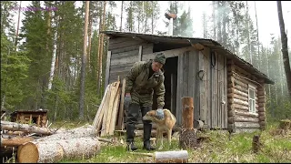 В тайгу на три дня. Май 2020. 4 серия. Здравствуй изба.