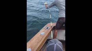 Montauk fishing 8/206