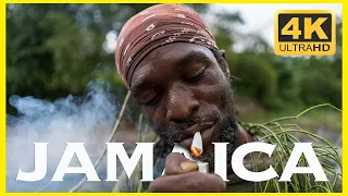 48 WILD Hours w/ JAMAICA's RASTAs & Maroons 🇯🇲 4K